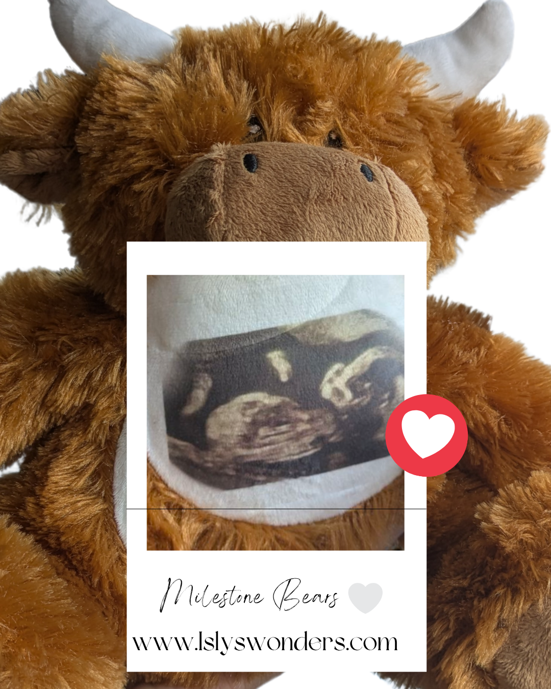 Personalised Highland Cow Gift Bear