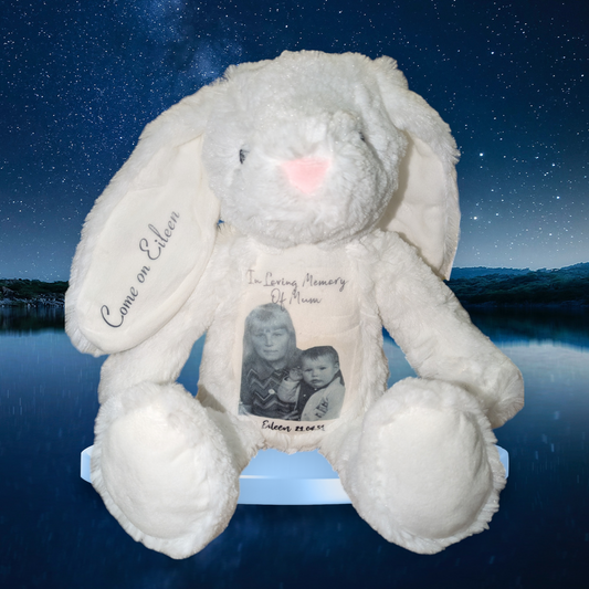 Memory or Milestone Bunny